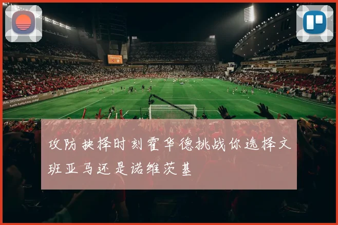 攻防抉择时刻霍华德挑战你选择文班亚马还是诺维茨基