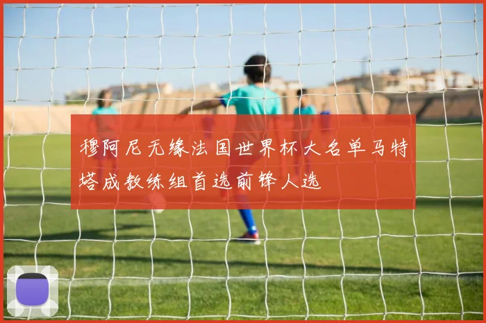 穆阿尼无缘法国世界杯大名单马特塔成教练组首选前锋人选