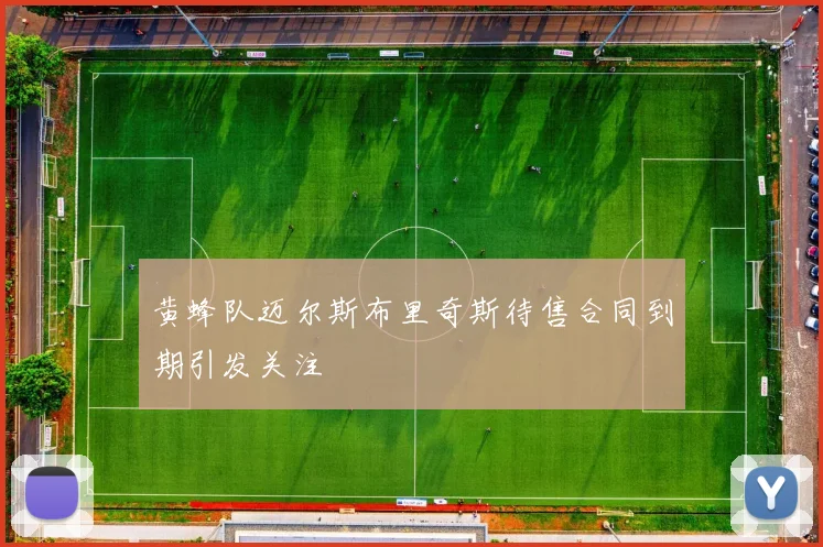 黄蜂队迈尔斯布里奇斯待售合同到期引发关注